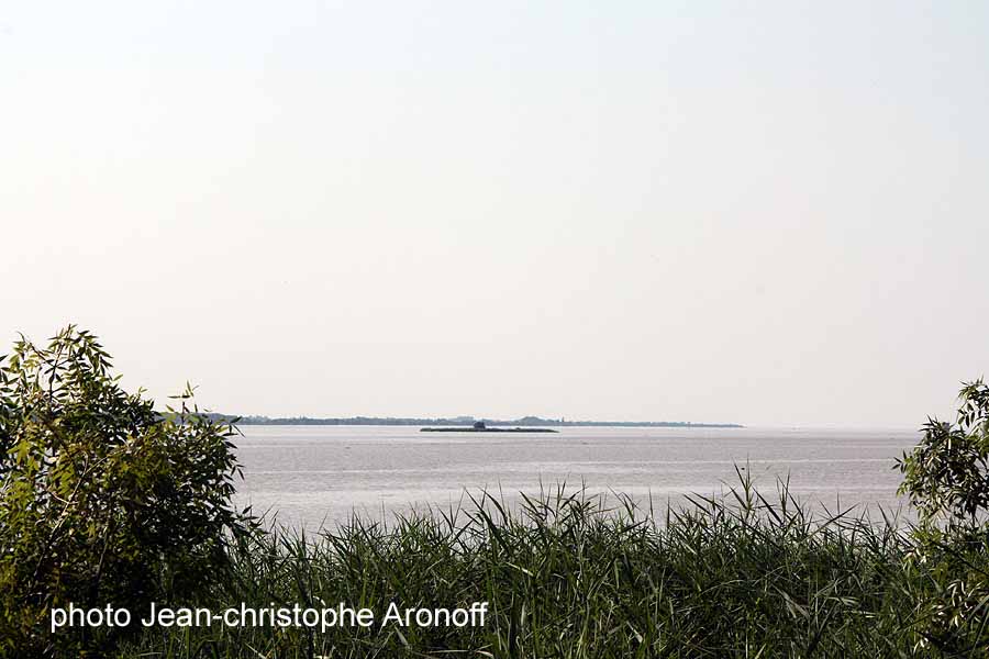 Vue sur l'Estuaire