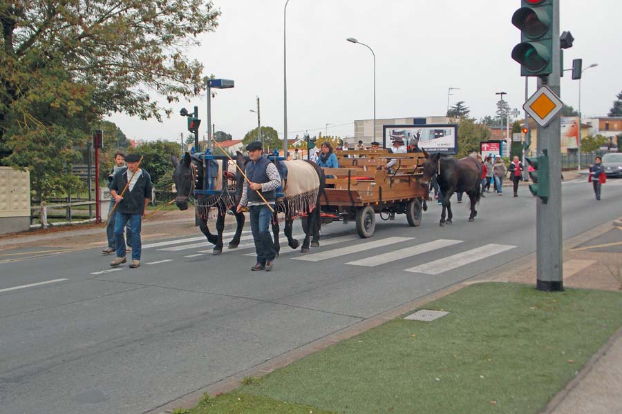 Le cortège emprunte l'avenue des Pyrénées