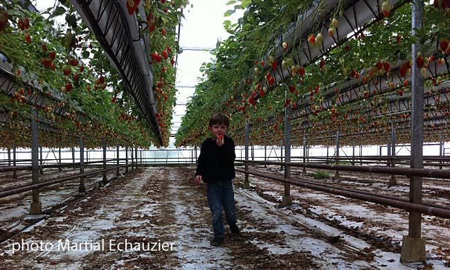 Le fils du producteur est aussi consommateur Le fils du producteur est aussi consommateur
