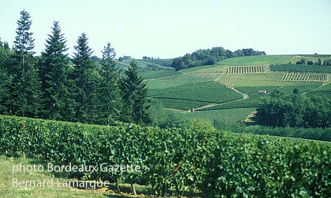 Côtes de Bordeaux