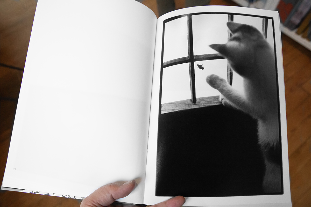 Masahisa Fukase – Sasuke