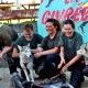 En Gironde, La Givrée revient courir avec les chiens