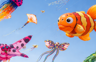 Cerfs-volants : un week-end grand spectacle à 2h de Bordeaux