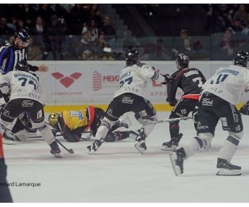 Les Boxers en demi finale du championnat de France