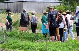 À Eysines, le Raid des Maraîchers ouvre les portes du potager de Bordeaux