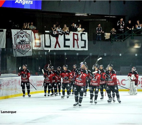Les Boxers reprennent la tête de la Ligue Magnus