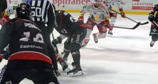 Les Boxers à une marche du sacre de Champions de France