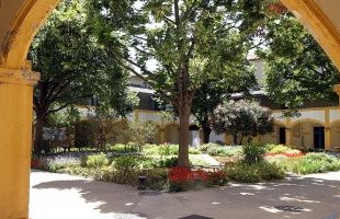 Espace Van Gogh à Arles