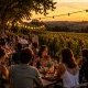 Dans le vignoble bordelais, la guinguette réinvente la visite au château