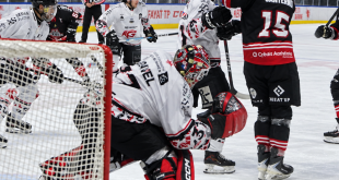 Les Boxers étrillent les Gothiques d'Amiens