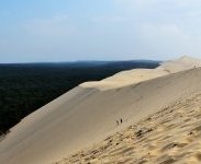 Fête de la Nature : où sortir autour de Bordeaux ?