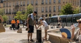 Canicule à Bordeaux : la Ville active son plan, l'opposition alerte
