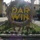 Fip 360 transforme Darwin en dancefloor immersif