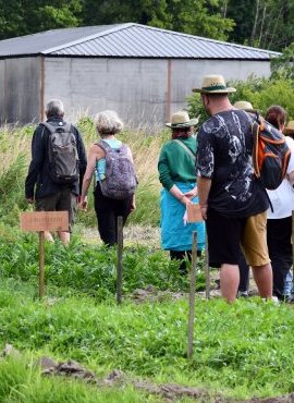 À Eysines, le Raid des Maraîchers ouvre les portes du potager de Bordeaux