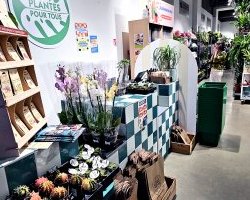 Bordeaux : Plantes Pour Tous ouvre sa jardinerie à Bord'eau Village
