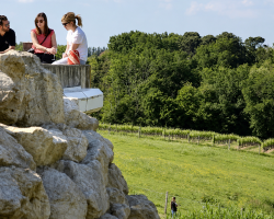 Premières Côtes de Bordeaux : 31 châteaux ouvrent leurs portes