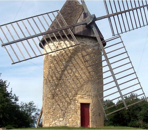 Du grain au pain, la moisson reprend vie en Gironde