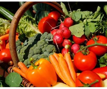 Une solution anti-gaspillage alimentaire au service des Bordelais