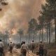En 1949, l'incendie qui a redessiné la forêt girondin