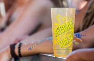 Ambiance et artistes au Reggae Sun Ska