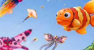 Cerfs-volants : un week-end grand spectacle à 2h de Bordeaux