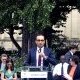 Bordeaux s'adapte : après l'été record, Cazenave veut aller au-delà de la végétalisation