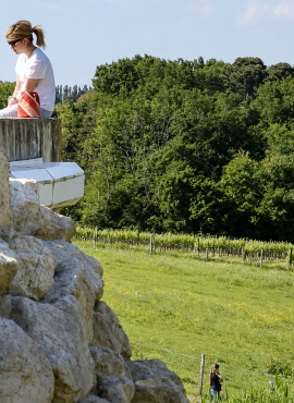 Premières Côtes de Bordeaux : 31 châteaux ouvrent leurs portes