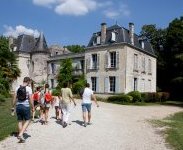À Cadaujac, Château Bardins invite la Colombie dans les vignes