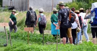 À Eysines, le Raid des Maraîchers ouvre les portes du potager de Bordeaux