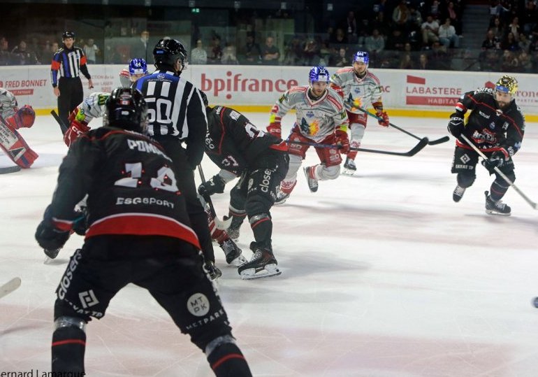 Les Boxers à une marche du sacre de Champions de France