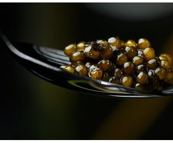 Caviar : l'essor des caviars français
