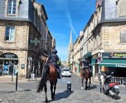 Bordeaux : la police à cheval attire les regards à Saint-Michel