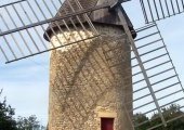 Du grain au pain, la moisson reprend vie en Gironde