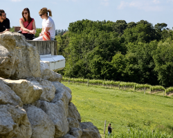 Premières Côtes de Bordeaux : 31 châteaux ouvrent leurs portes