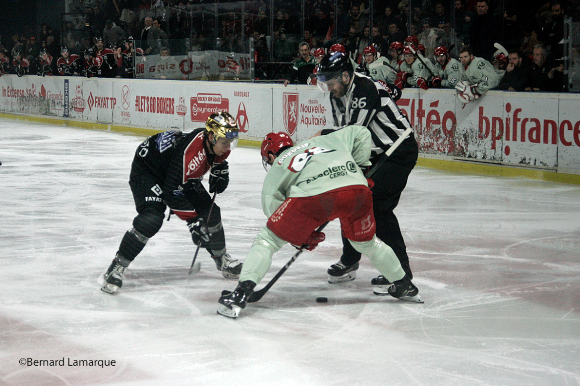 Les Boxers continuent de gagner