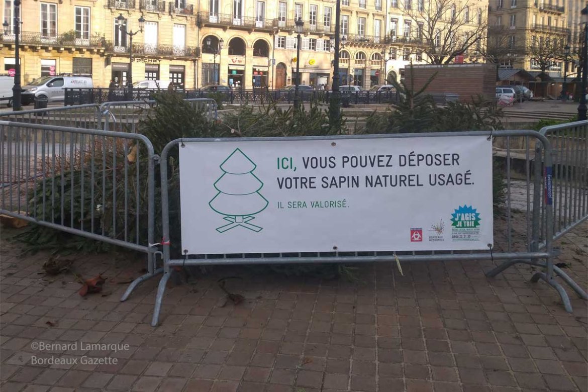 Après les fêtes, Bordeaux collecte les sapins usagés