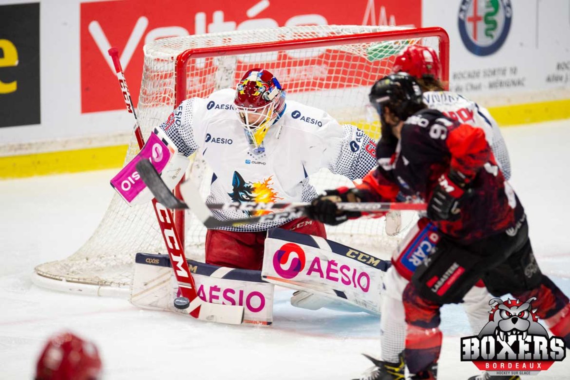 Les Boxers s'inclinent face à Grenoble mais se reprennent face à Angers