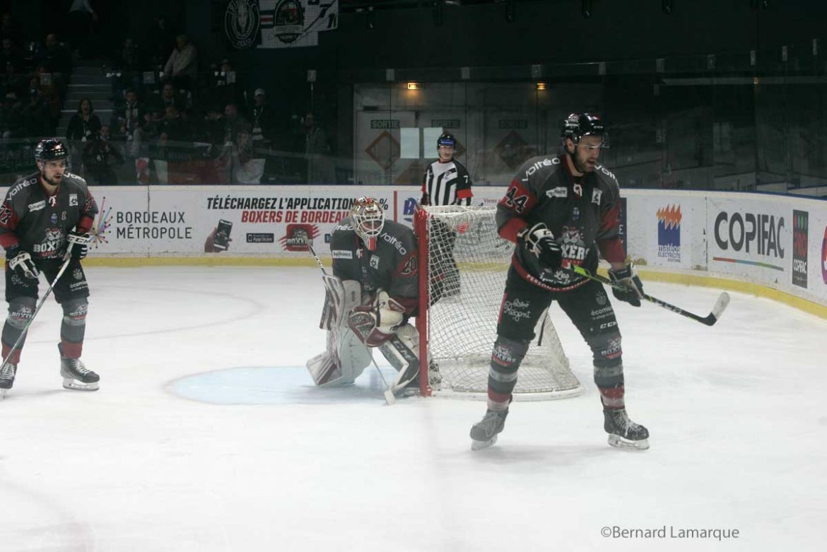 Les Boxers renouent avec la victoire à Mériadeck