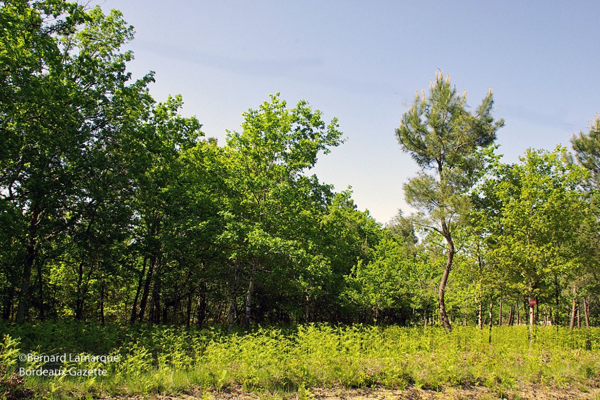 L'Office Français de la Biodiversité : un futur établissement public à la hauteur des enjeux ?