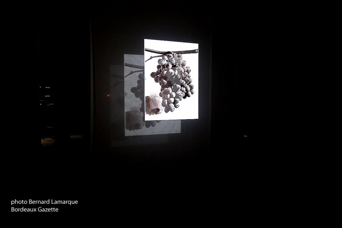 L'exposition "Douro, l'air de la terre au bord des eaux" ouverte à la Cité du Vin