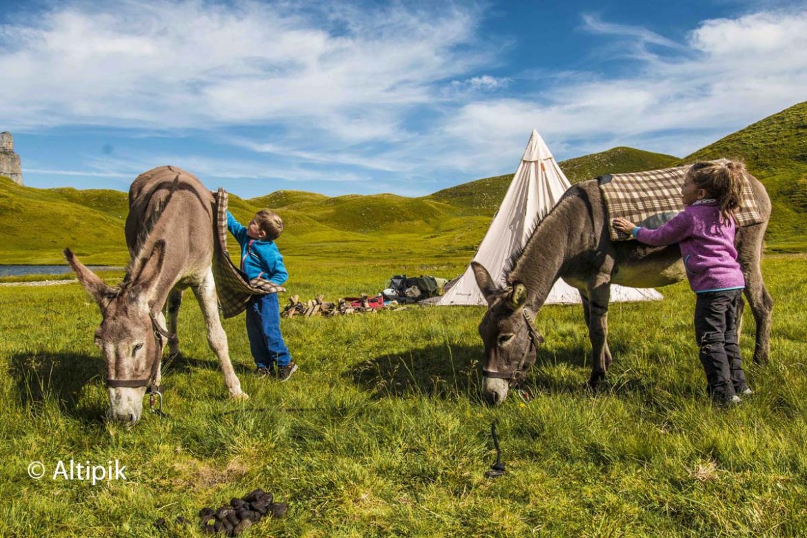Randonnée avec un âne, la déconnexion parfaite !